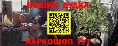гидра Бузулук