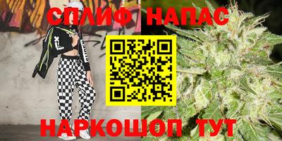 гидра Бузулук
